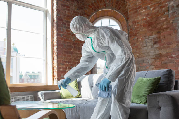 Best Biohazard Mold Removal  in Farragut, TN